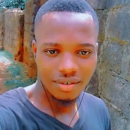 Ozongwu F.