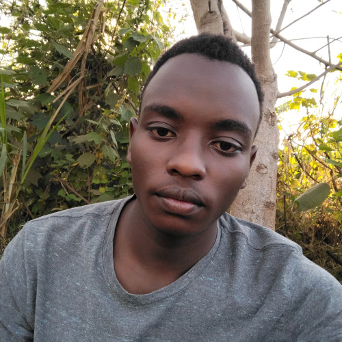 Allan M. profile photo