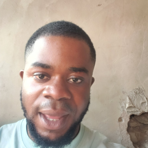 Abiodun A. profile photo