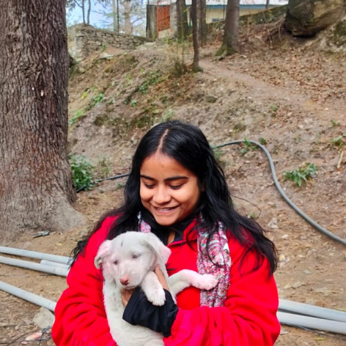 DAMINI G. profile photo