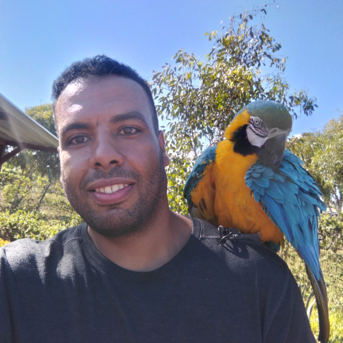 Mehdi R. profile photo