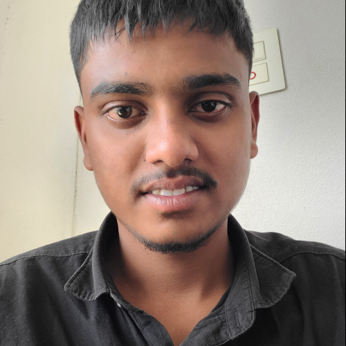 Shaik N. profile photo