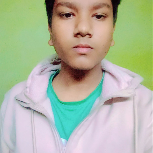 Mayank V. profile photo
