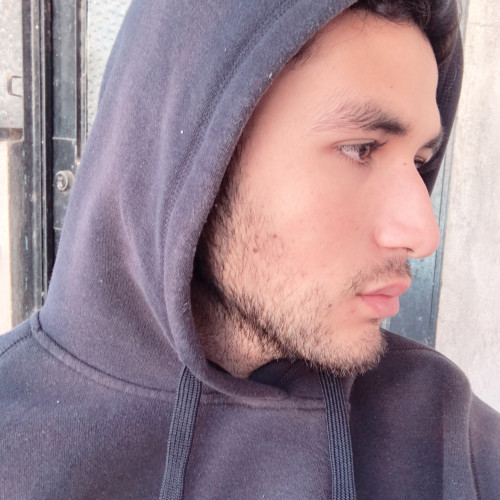 Alexis  C. profile photo