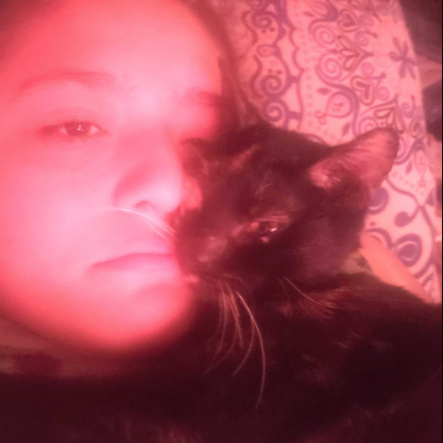 nina t. profile photo