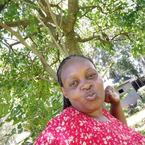 Sheila K. profile photo