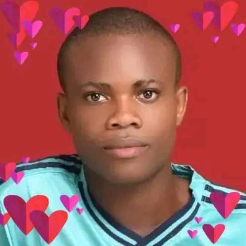 Noble Bariesia  N. profile photo