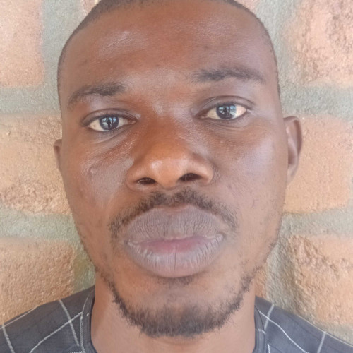 tolu a. profile photo