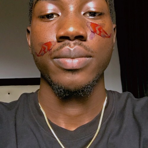 Adekunle S. profile photo