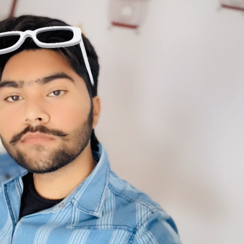 Anmol B. profile photo