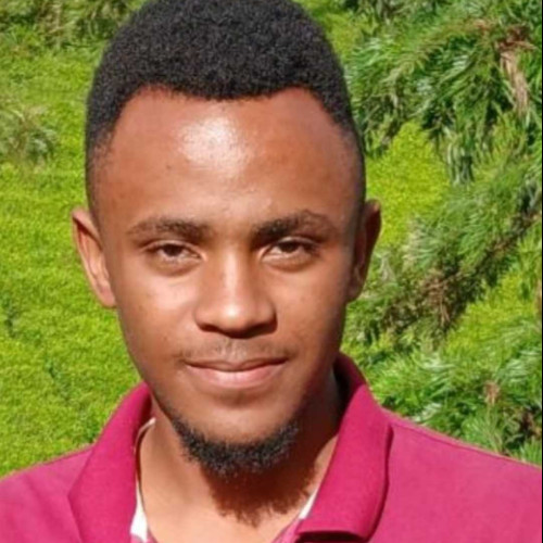 William k. profile photo