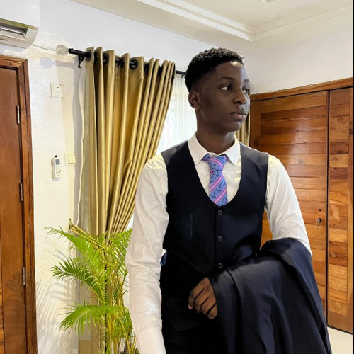 Adeleke  O. profile photo
