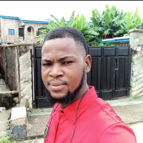 Oluwasegun O. profile photo