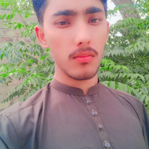 Ali R.