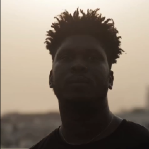 Steven P. profile photo