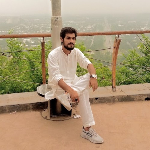 Muhammad Waseem A.