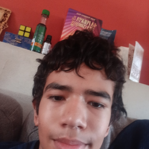 Max L. profile photo