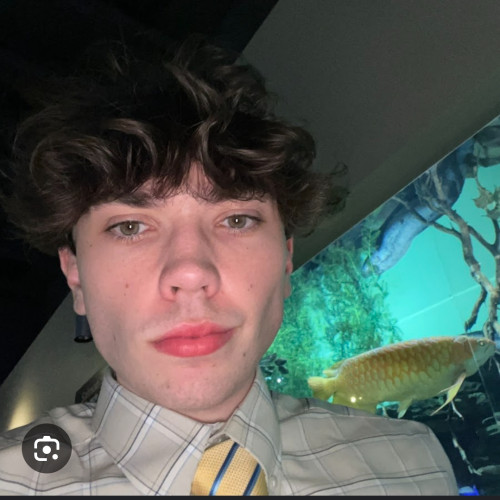 Amiro K. profile photo