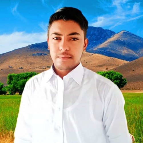 Zeeshan  U.