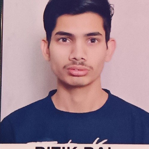 Ritik R. profile photo