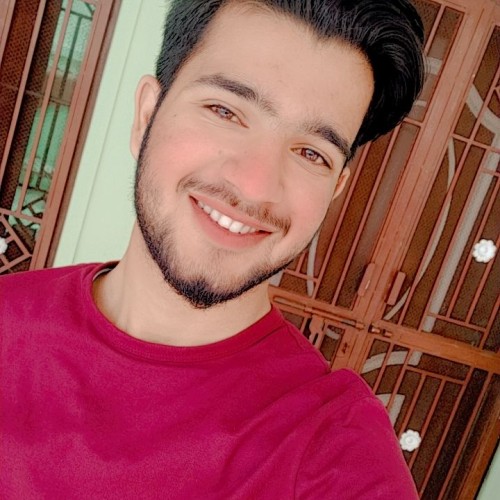Arslan G.