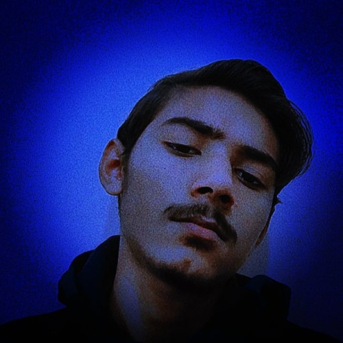 Faizan B.