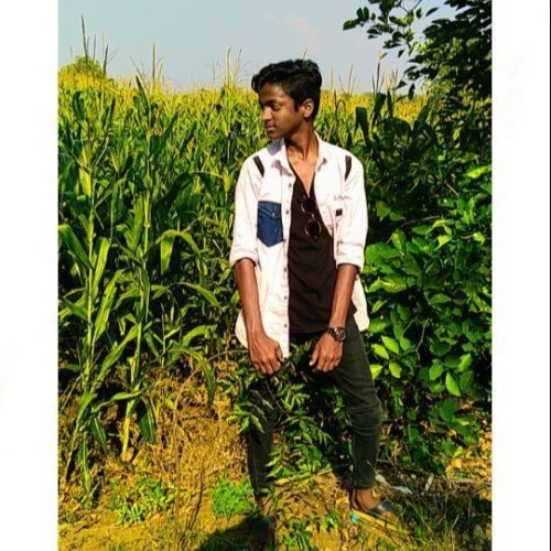 Vinay V. profile photo