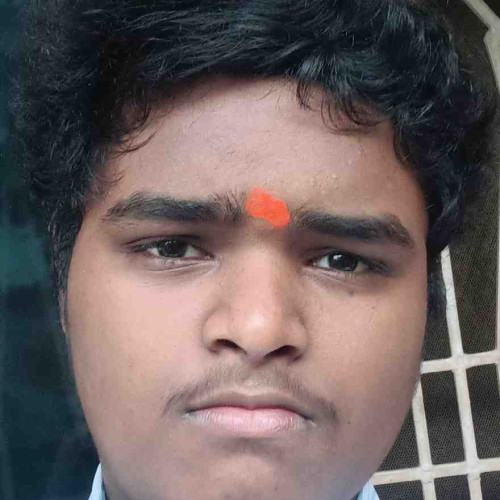didugu v. profile photo