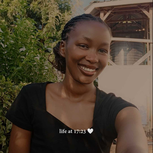 Noel K. profile photo