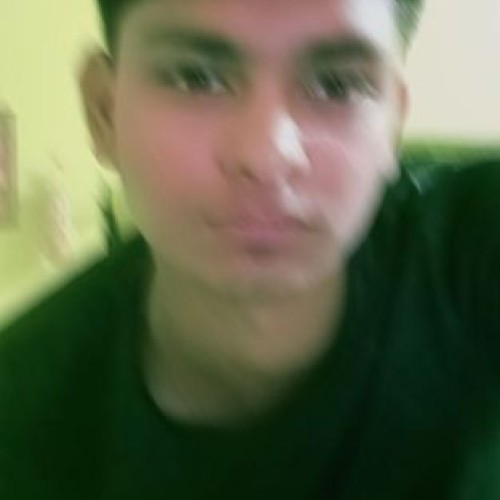 jivesh n.