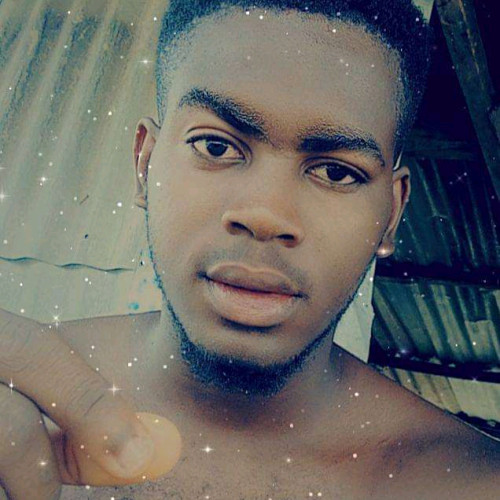 Ngamnodimma O. profile photo