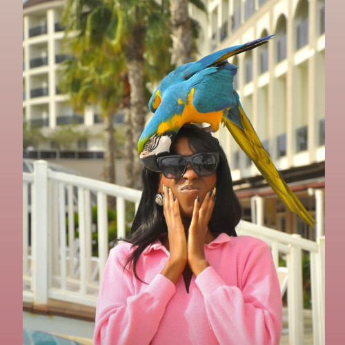 Grace T. profile photo