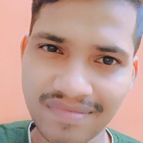 Rohan P. profile photo