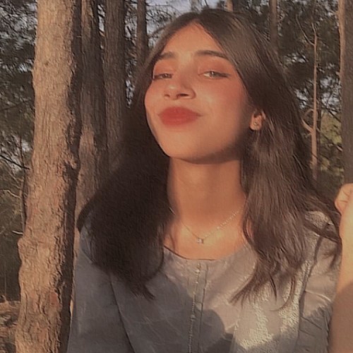 Raheen A. profile photo