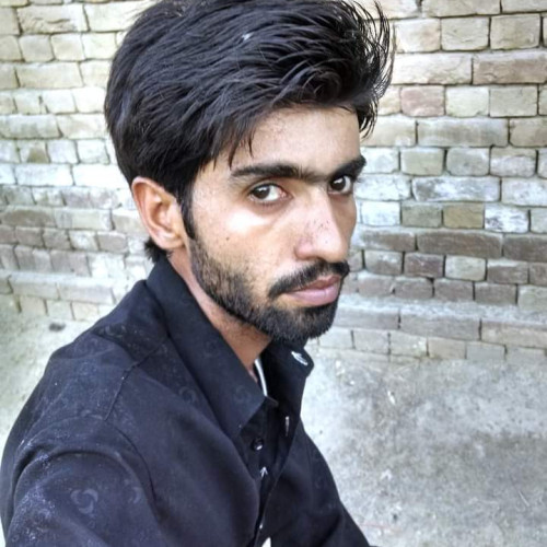 Shahid H. profile photo