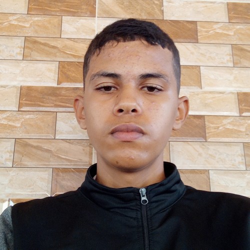 Hamza B. profile photo