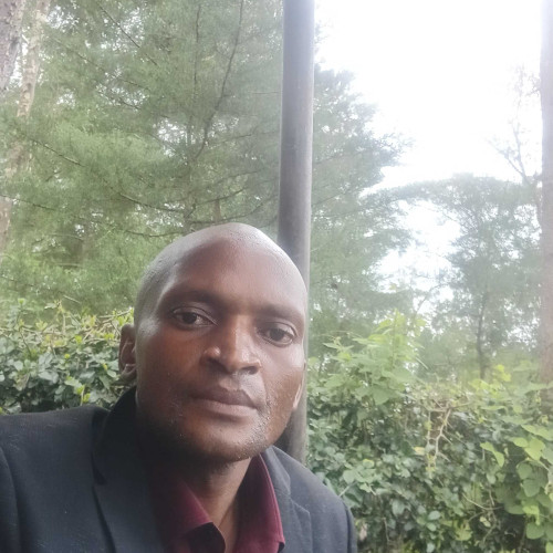 shendrack m. profile photo