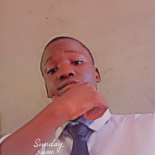 Chima  O. profile photo