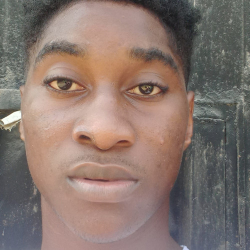 Marvelous  E. profile photo