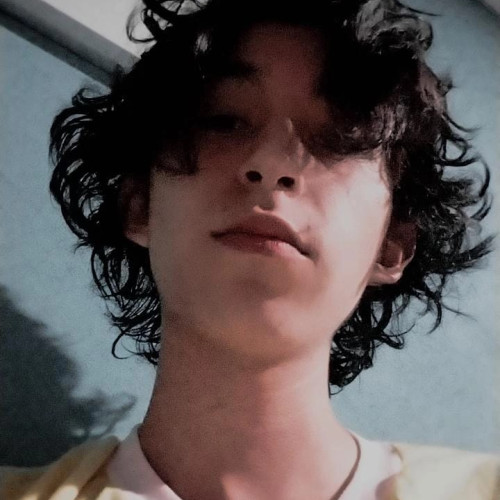 Bruno D. profile photo