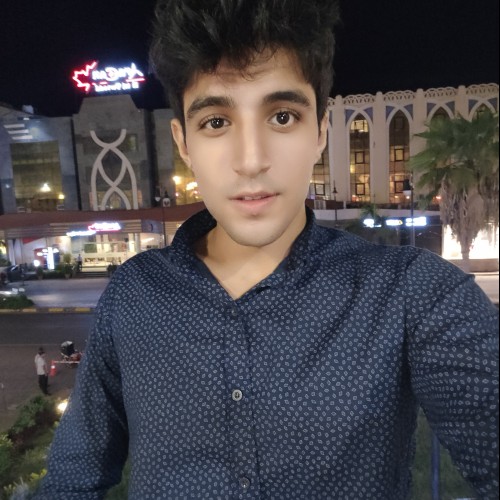 Alaa H. profile photo