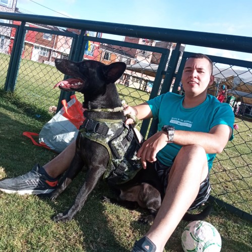 anderson ibarra b.