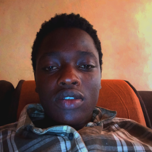 Kelvin K. profile photo