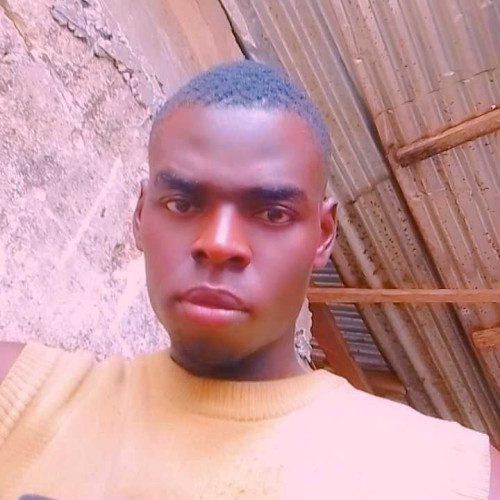Donraph A. profile photo