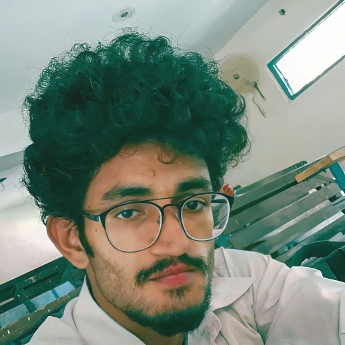 Zayn Z. profile photo