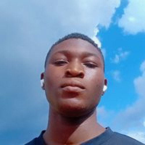 Adebayo v. profile photo