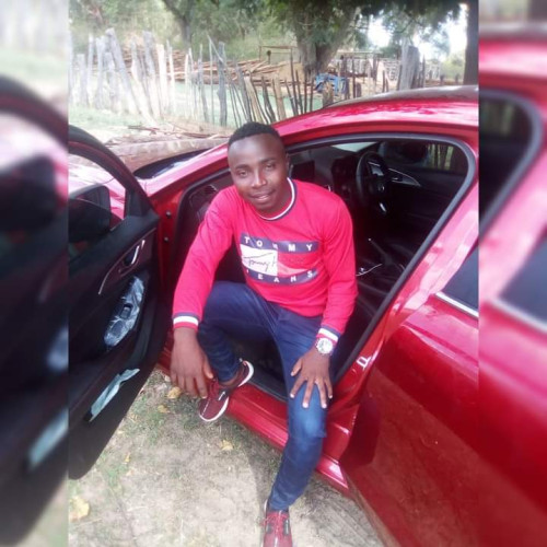 Tatenda D. profile photo