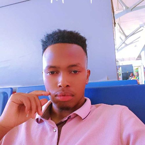 dan L. profile photo