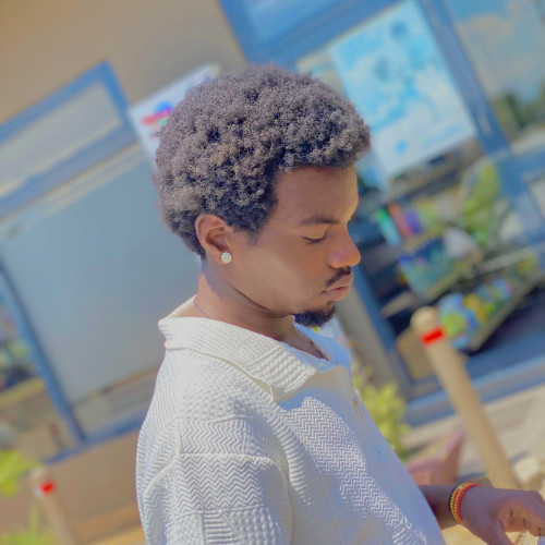 Danpalz p. profile photo