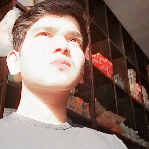 Arslan  N.